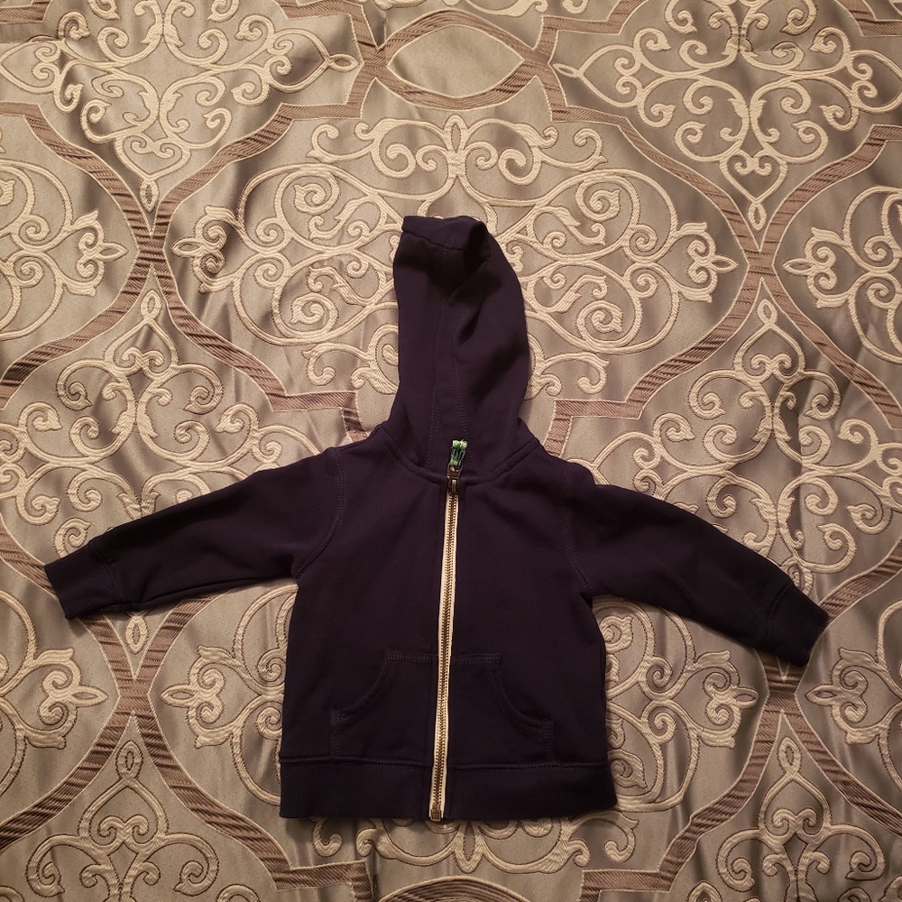 Carter's kids hoodie. - Picture 1 of 11